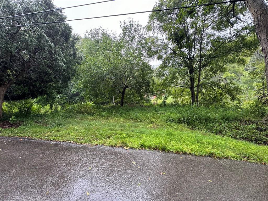 500 Conway Wallrose Road Freedom, PA 15042 - Photo 9 of 9 a view of a yard with plants and large trees