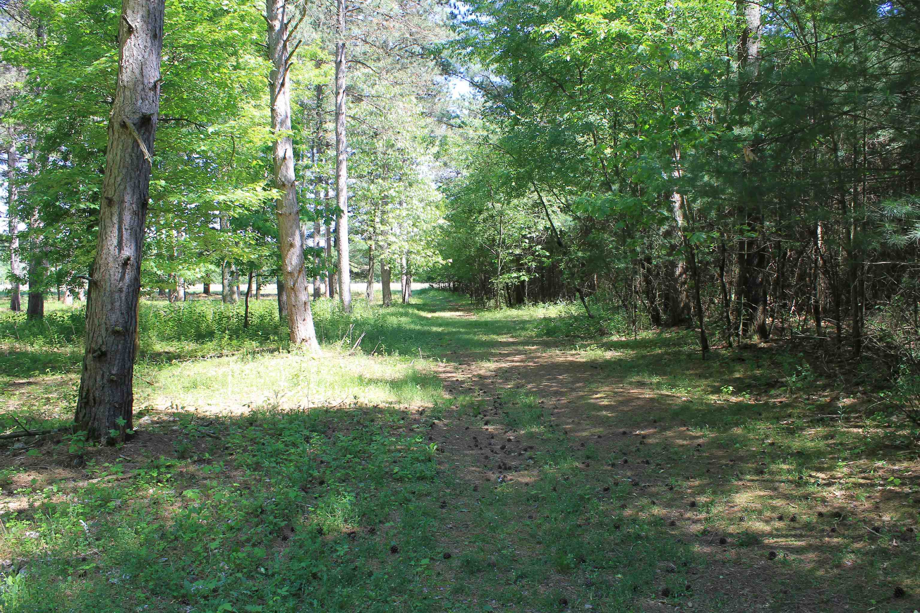 W4301 County Rd A Pine River, WI 54965 - Photo 56 of 62