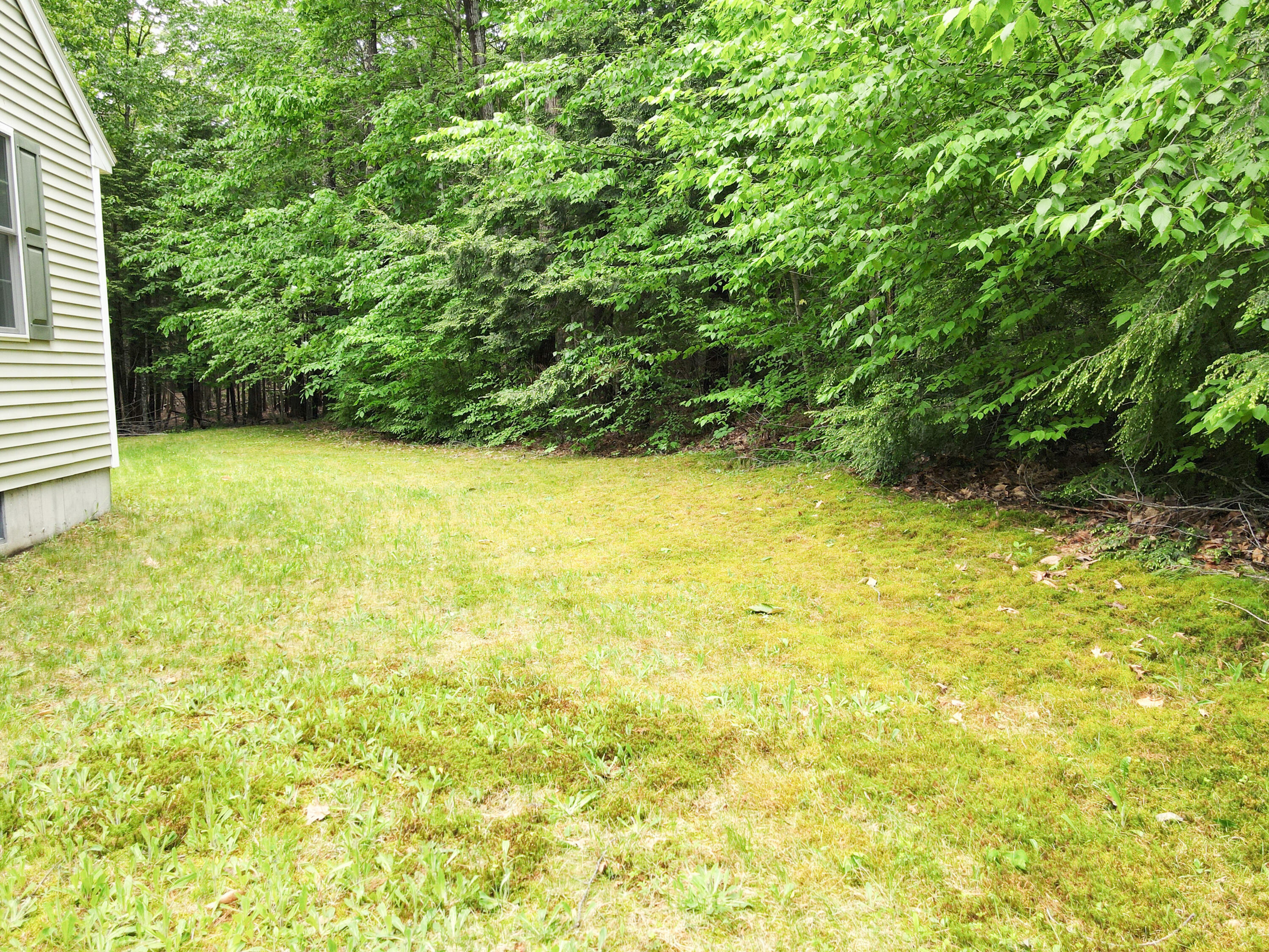 12 Doe Mdw Lane Springvale, ME 04083 - Photo 10 of 43 Backyard