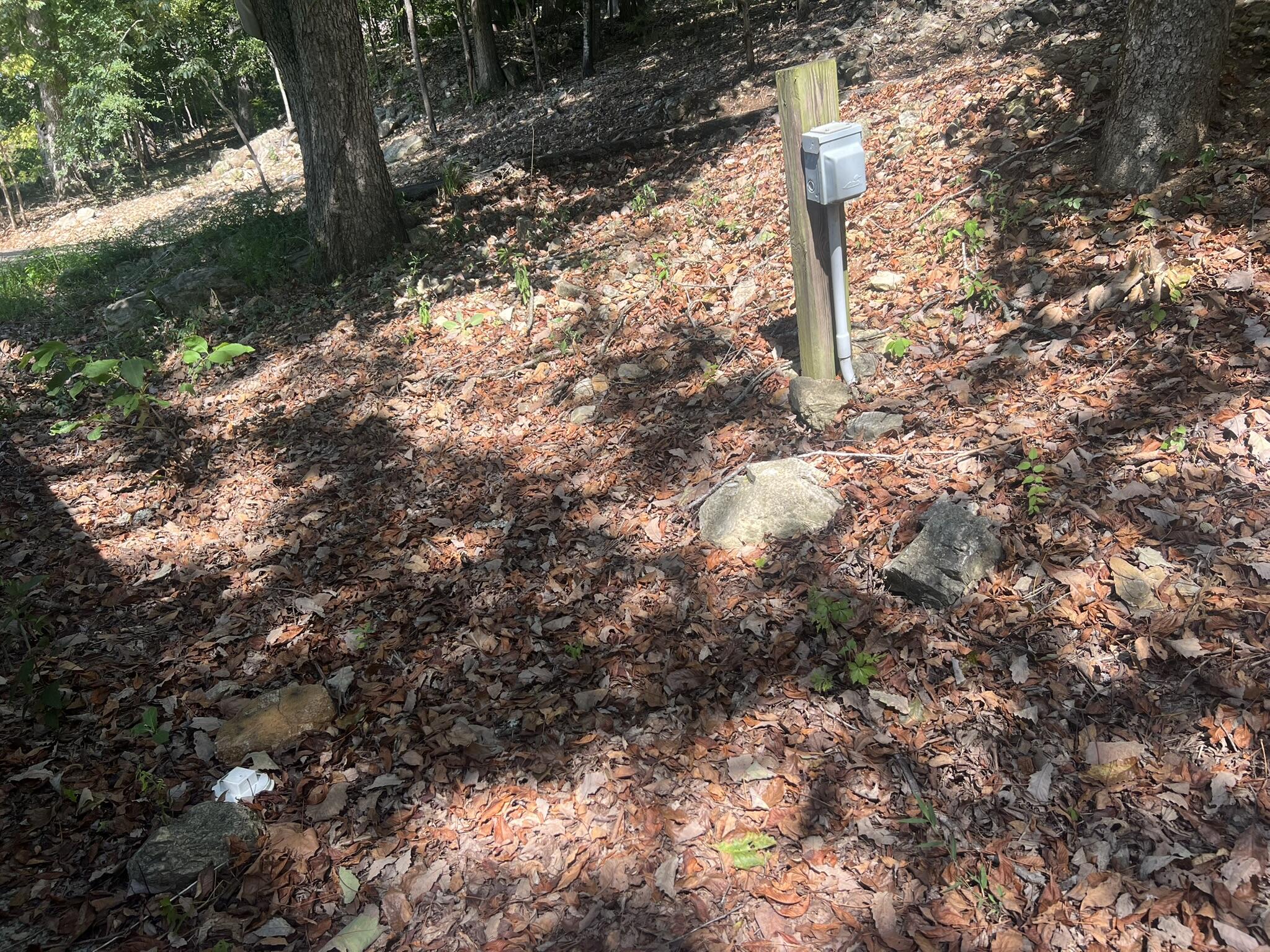 0 Shadow Oak Lane Mammoth Spring, AR 72554 - Photo 11 of 42 29