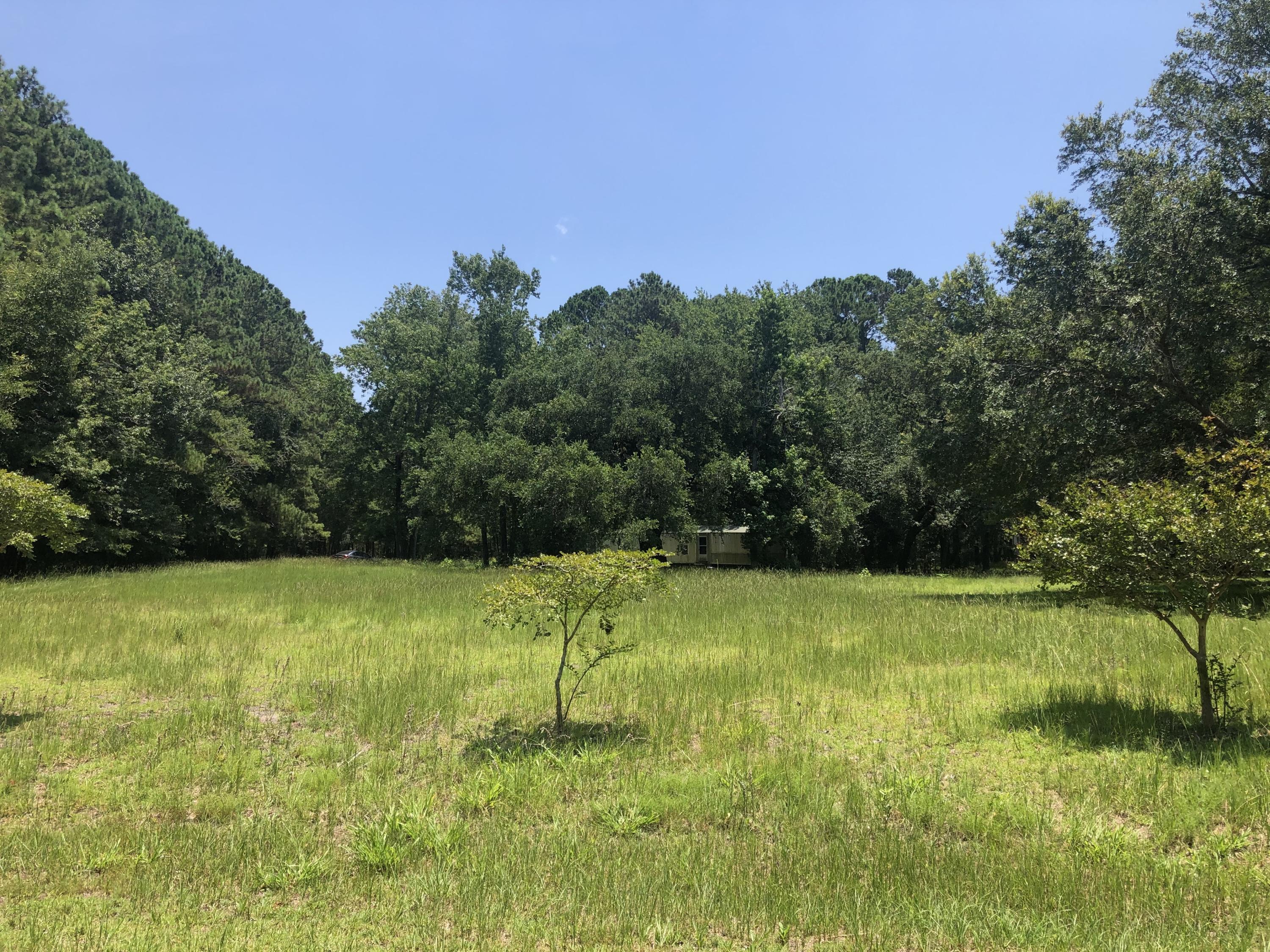 6527 Foxfire Road Wadmalaw Island, SC 29487 - Photo 2 of 8 IMG_6126 2
