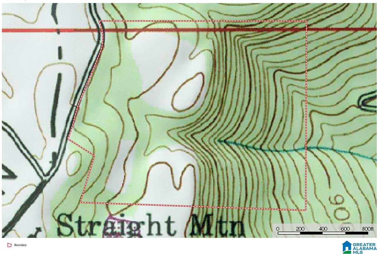 0 County Road 24, Unit 49 / ACRES Springville, AL 35146 - Photo 17 of 18
