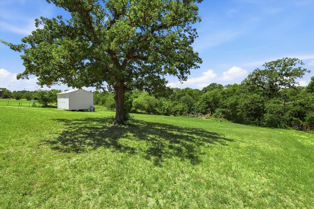 193 Firefly Drive Springtown, TX 76082 - Photo 31 of 32 Expansive green lawn with mature trees providing shade