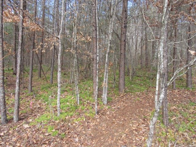 50 Table Rock Road Cleveland, SC 29635 - Photo 13 of 31