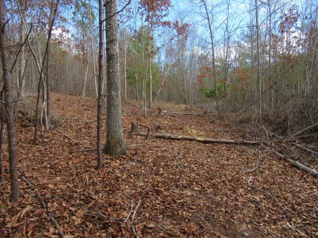 50 Table Rock Road Cleveland, SC 29635 - Photo 14 of 31