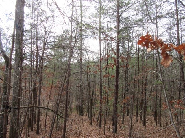 50 Table Rock Road Cleveland, SC 29635 - Photo 15 of 31