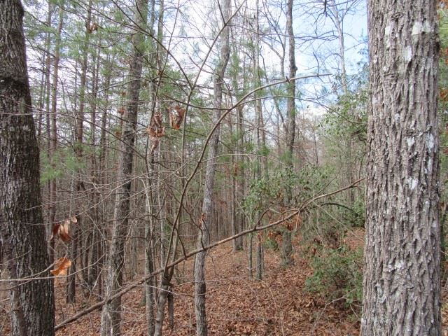 50 Table Rock Road Cleveland, SC 29635 - Photo 16 of 31
