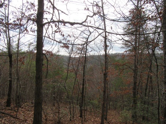 50 Table Rock Road Cleveland, SC 29635 - Photo 19 of 31