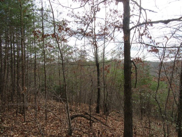 50 Table Rock Road Cleveland, SC 29635 - Photo 20 of 31