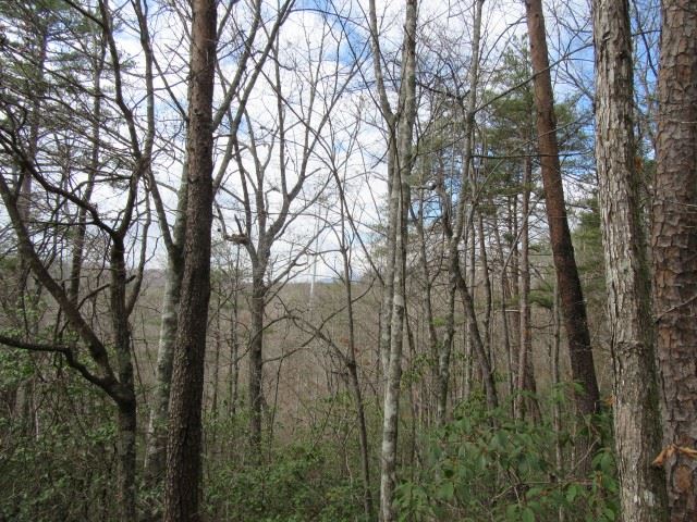 50 Table Rock Road Cleveland, SC 29635 - Photo 21 of 31