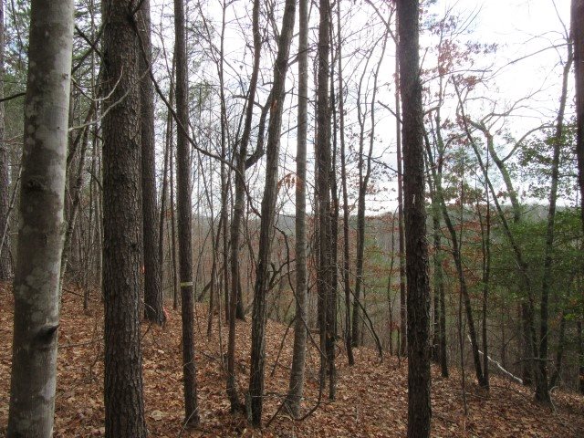 50 Table Rock Road Cleveland, SC 29635 - Photo 22 of 31