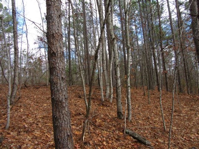 50 Table Rock Road Cleveland, SC 29635 - Photo 23 of 31