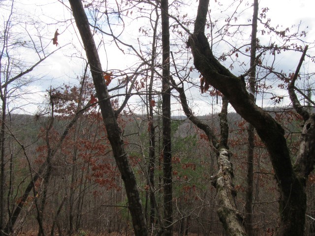 50 Table Rock Road Cleveland, SC 29635 - Photo 24 of 31
