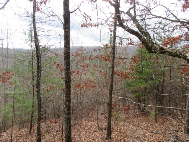 50 Table Rock Road Cleveland, SC 29635 - Photo 25 of 31