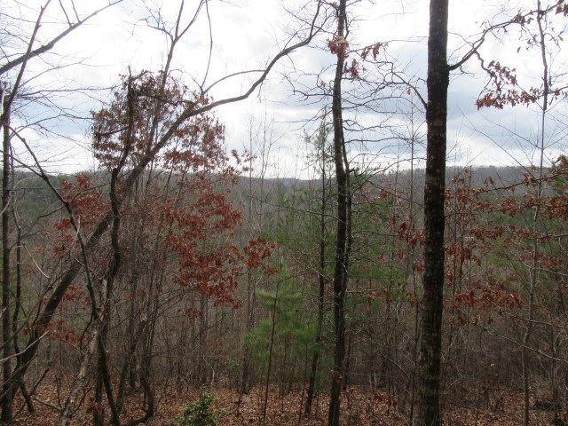 50 Table Rock Road Cleveland, SC 29635 - Photo 26 of 31