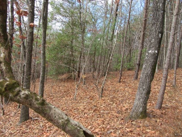 50 Table Rock Road Cleveland, SC 29635 - Photo 27 of 31