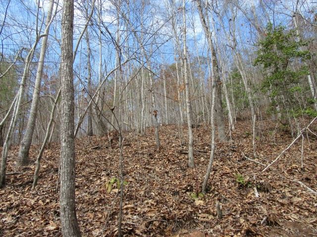 50 Table Rock Road Cleveland, SC 29635 - Photo 28 of 31