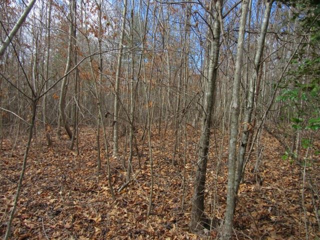 50 Table Rock Road Cleveland, SC 29635 - Photo 29 of 31