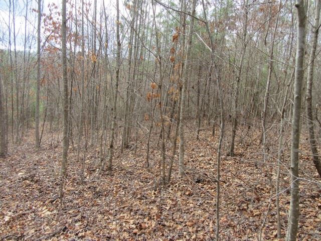 50 Table Rock Road Cleveland, SC 29635 - Photo 30 of 31