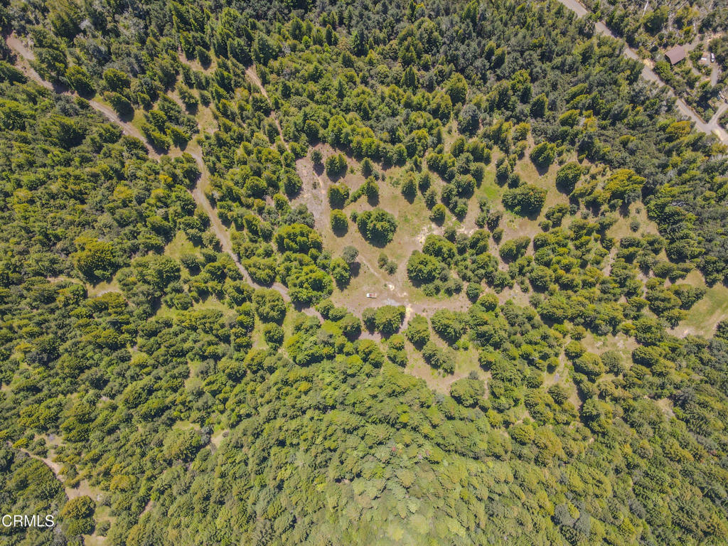 28540 Albion Ridge Road Albion, CA 95410 - Photo 11 of 36 dji_fly_20260511_130038_670_177860261459