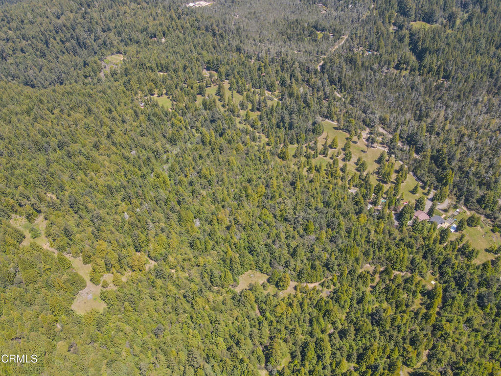 28540 Albion Ridge Road Albion, CA 95410 - Photo 13 of 36 dji_fly_20260511_130110_672_177860261001