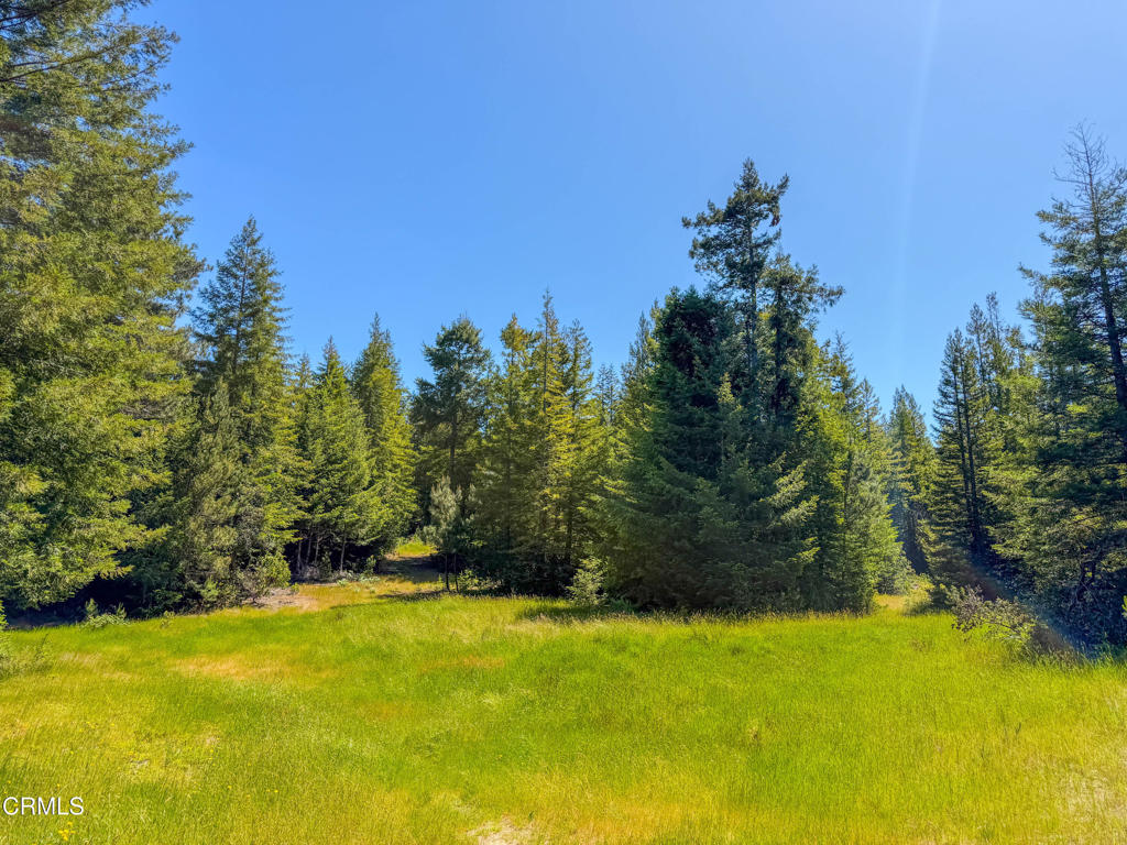 28540 Albion Ridge Road Albion, CA 95410 - Photo 15 of 36 IMG_6492