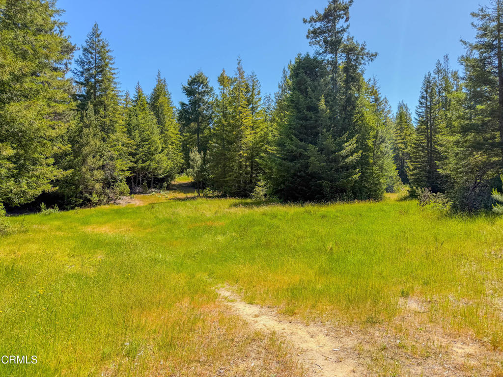28540 Albion Ridge Road Albion, CA 95410 - Photo 16 of 36 IMG_6493