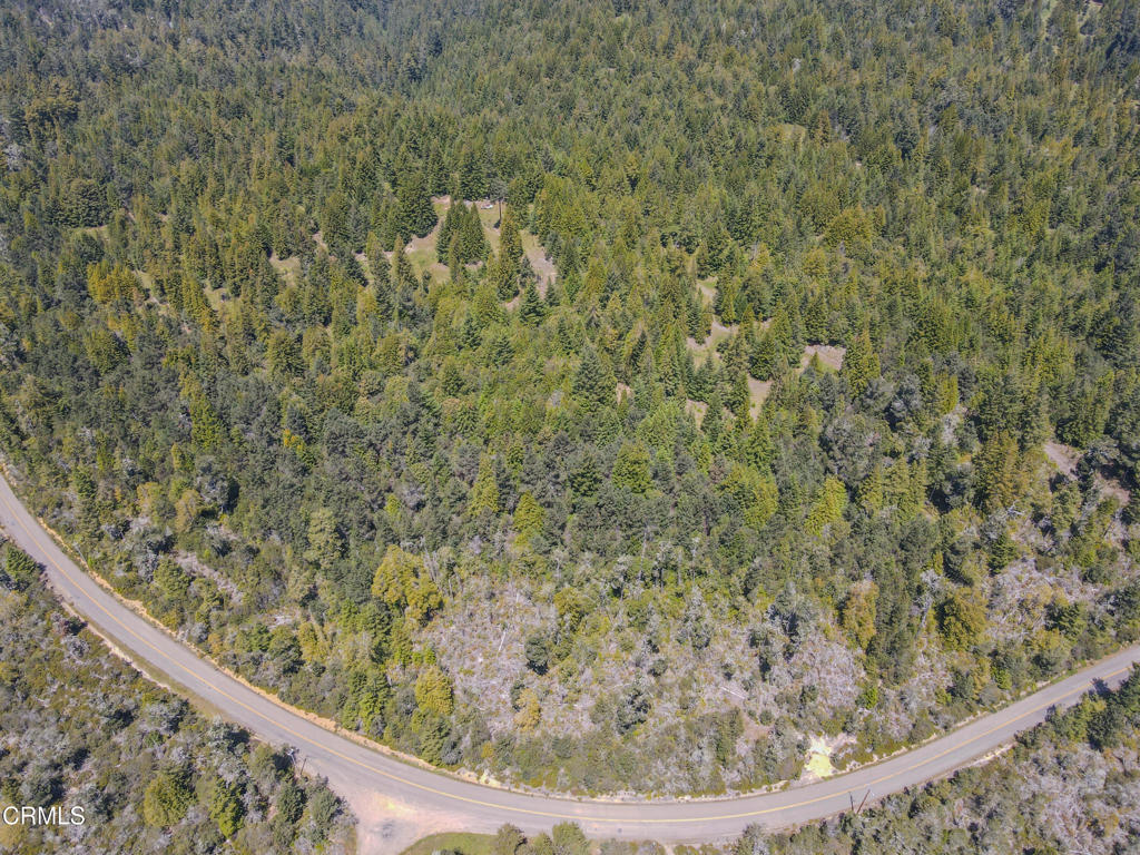 28540 Albion Ridge Road Albion, CA 95410 - Photo 17 of 36 dji_fly_20260511_130314_676_177860260129