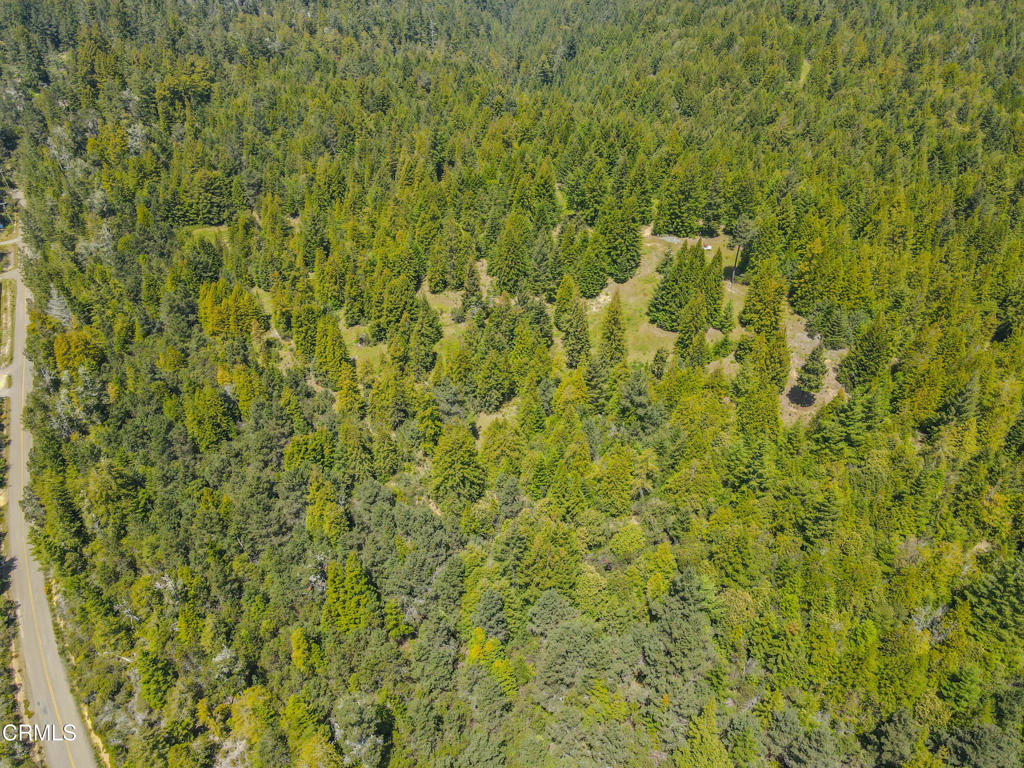 28540 Albion Ridge Road Albion, CA 95410 - Photo 18 of 36 dji_fly_20260511_130400_678_177860259696