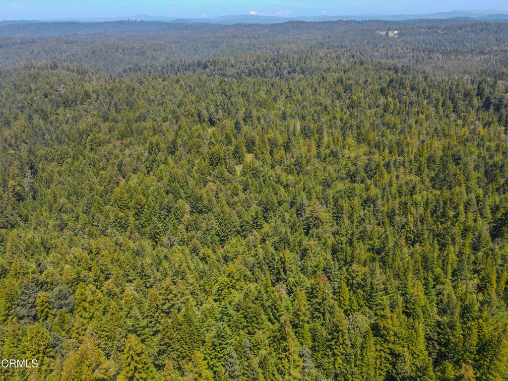 28540 Albion Ridge Road Albion, CA 95410 - Photo 19 of 36 dji_fly_20260511_130504_680_177860259223