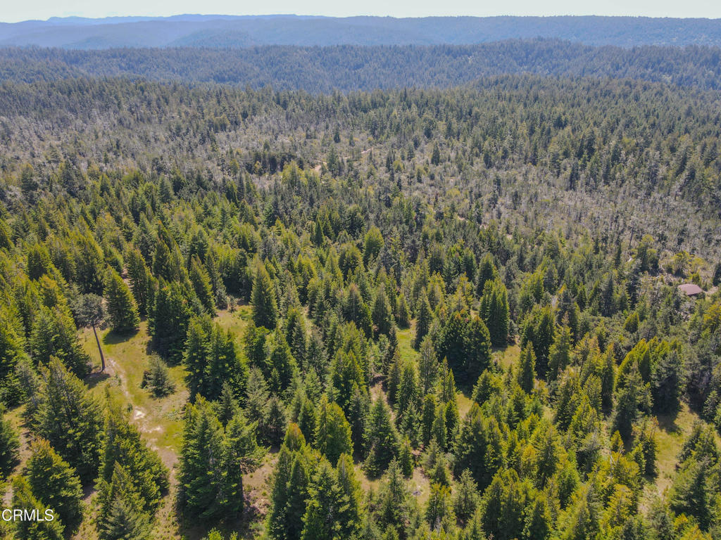 28540 Albion Ridge Road Albion, CA 95410 - Photo 20 of 36 dji_fly_20260511_130530_681_177860258986