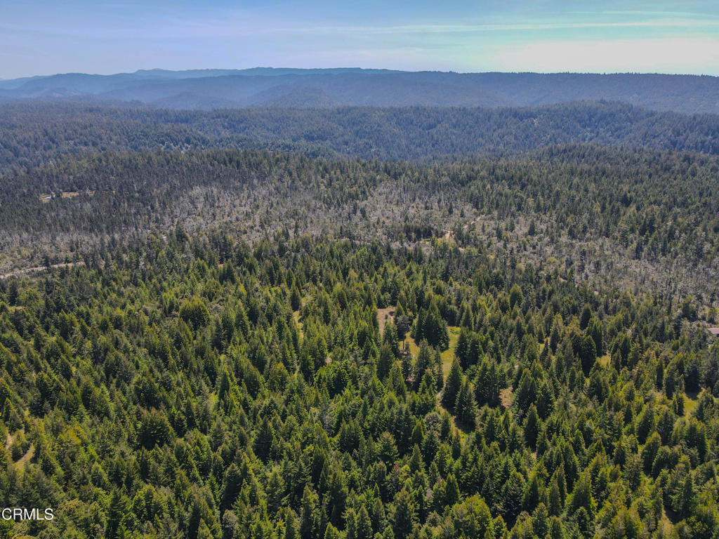 28540 Albion Ridge Road Albion, CA 95410 - Photo 21 of 36 dji_fly_20260511_130616_682_177860258784