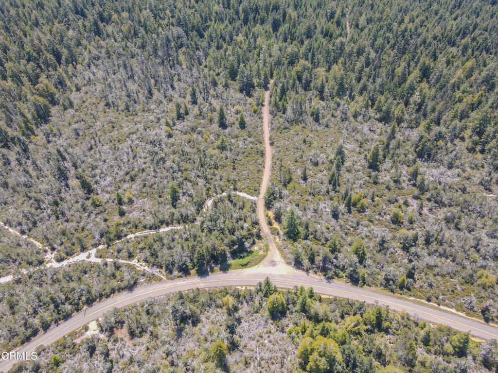 28540 Albion Ridge Road Albion, CA 95410 - Photo 22 of 36 dji_fly_20260511_130202_673_177860260778