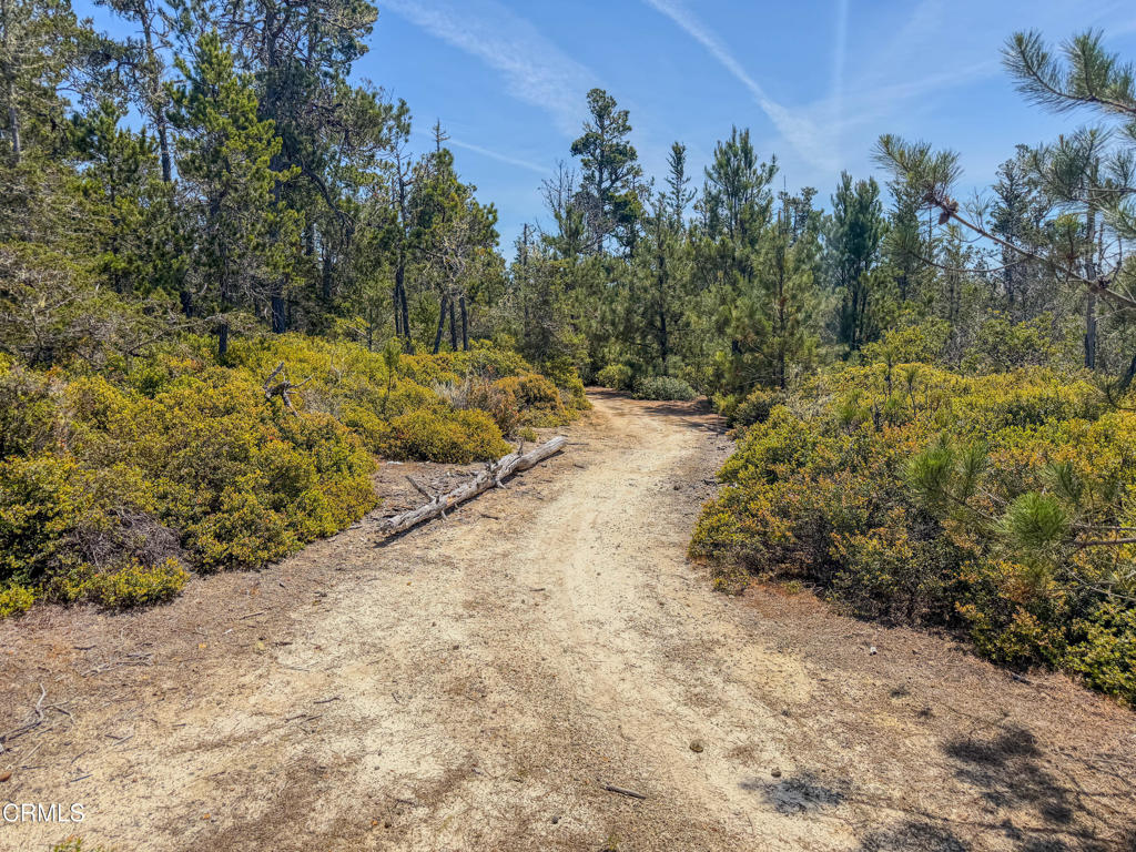 28540 Albion Ridge Road Albion, CA 95410 - Photo 23 of 36 IMG_6393