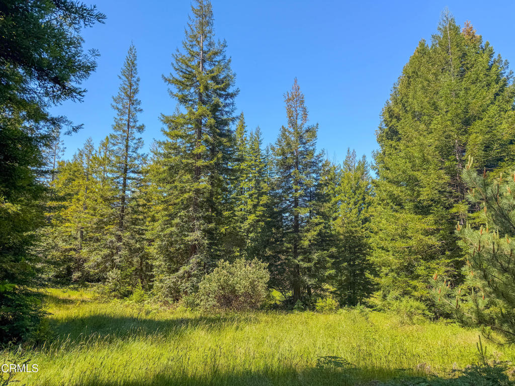 28540 Albion Ridge Road Albion, CA 95410 - Photo 33 of 36 IMG_6490