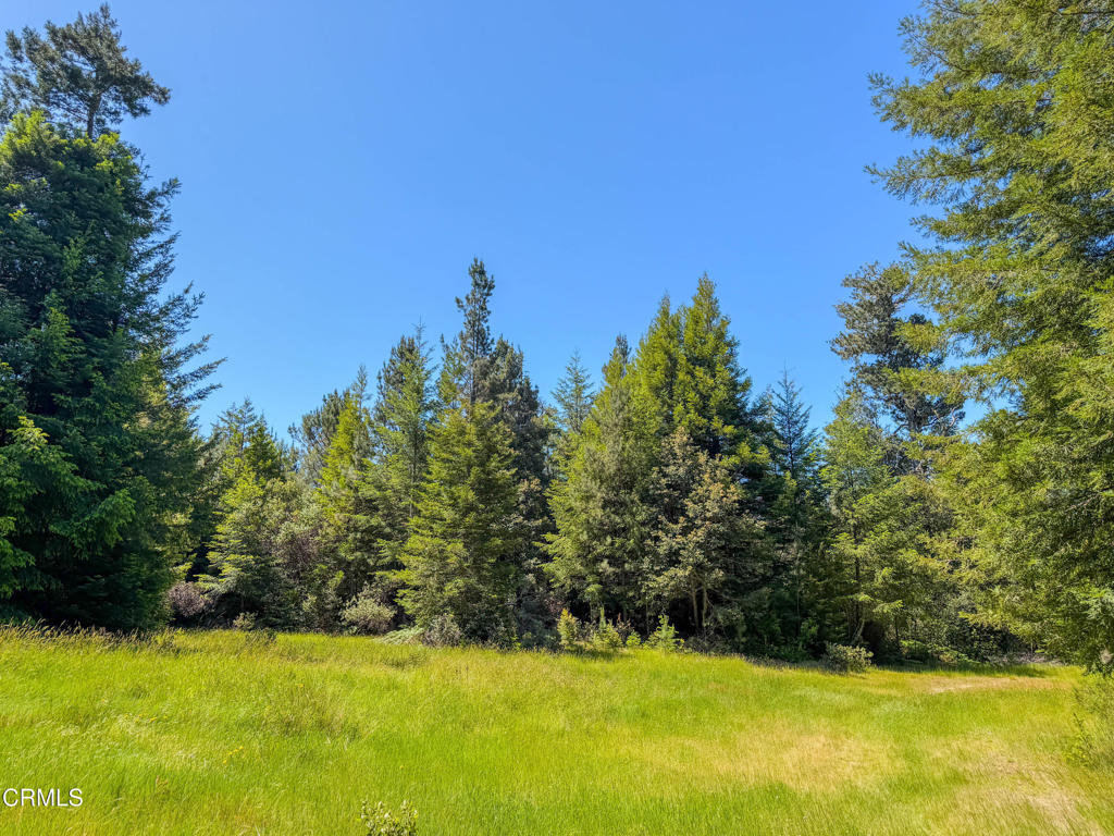 28540 Albion Ridge Road Albion, CA 95410 - Photo 34 of 36 IMG_6494