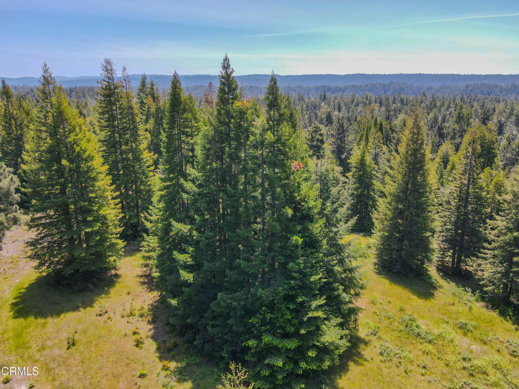 28540 Albion Ridge Road Albion, CA 95410 - Photo 4 of 36 dji_fly_20260511_125842_667_177860262065