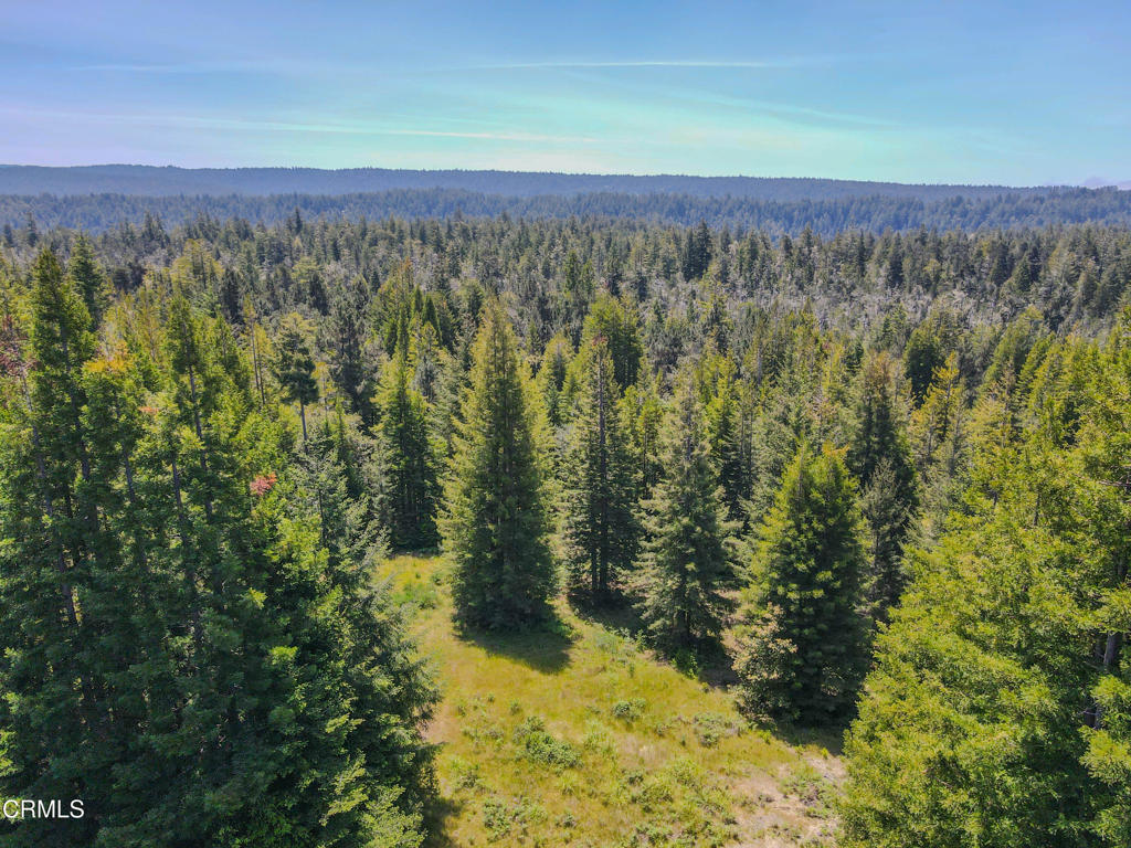 28540 Albion Ridge Road Albion, CA 95410 - Photo 10 of 36 dji_fly_20260511_125852_668_177860261888