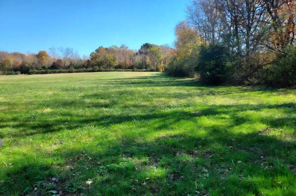 a view of a grassy field with trees in the background