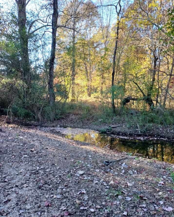 395 Good Hope Road Leoma, TN 38468 - Photo 12 of 21 a view of swimming pool with a yard