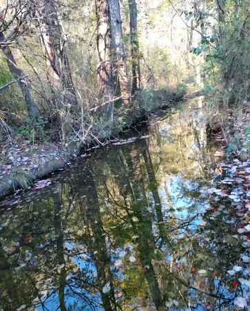 a view of lake