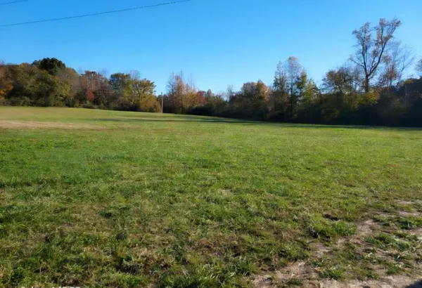 a view of a field with a tree in the background