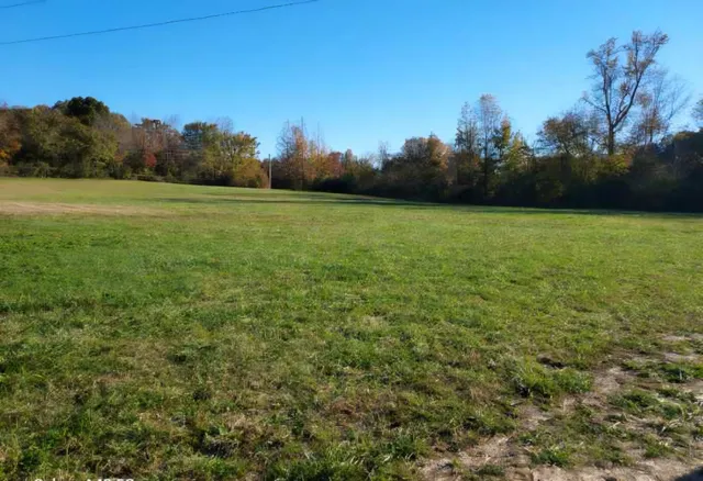a view of a field with a tree in the background