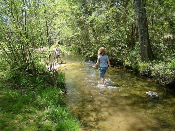 395 Good Hope Road Leoma, TN 38468 - Photo 2 of 21 a backyard of a house with lots of green space