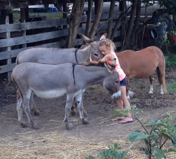 395 Good Hope Road Leoma, TN 38468 - Photo 4 of 21 a room with lots of furniture and a wooden floor