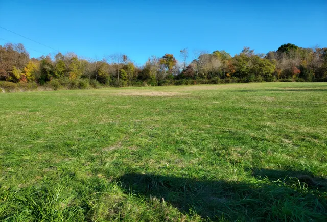 a view of a grassy field with trees in the background
