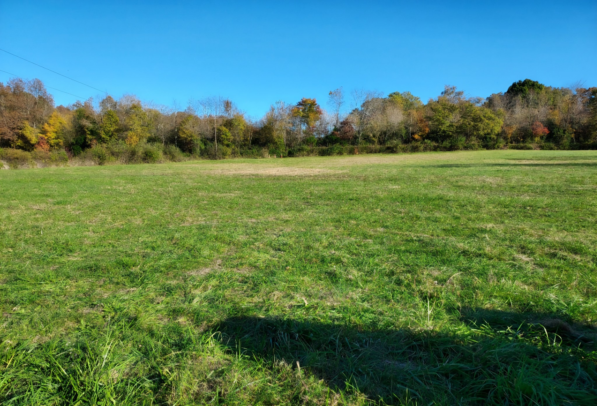 395 Good Hope Road Leoma, TN 38468 - Photo 6 of 21 a view of a grassy field with trees in the background