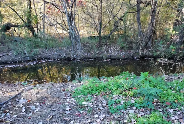 a view of a large body of water surrounded by trees