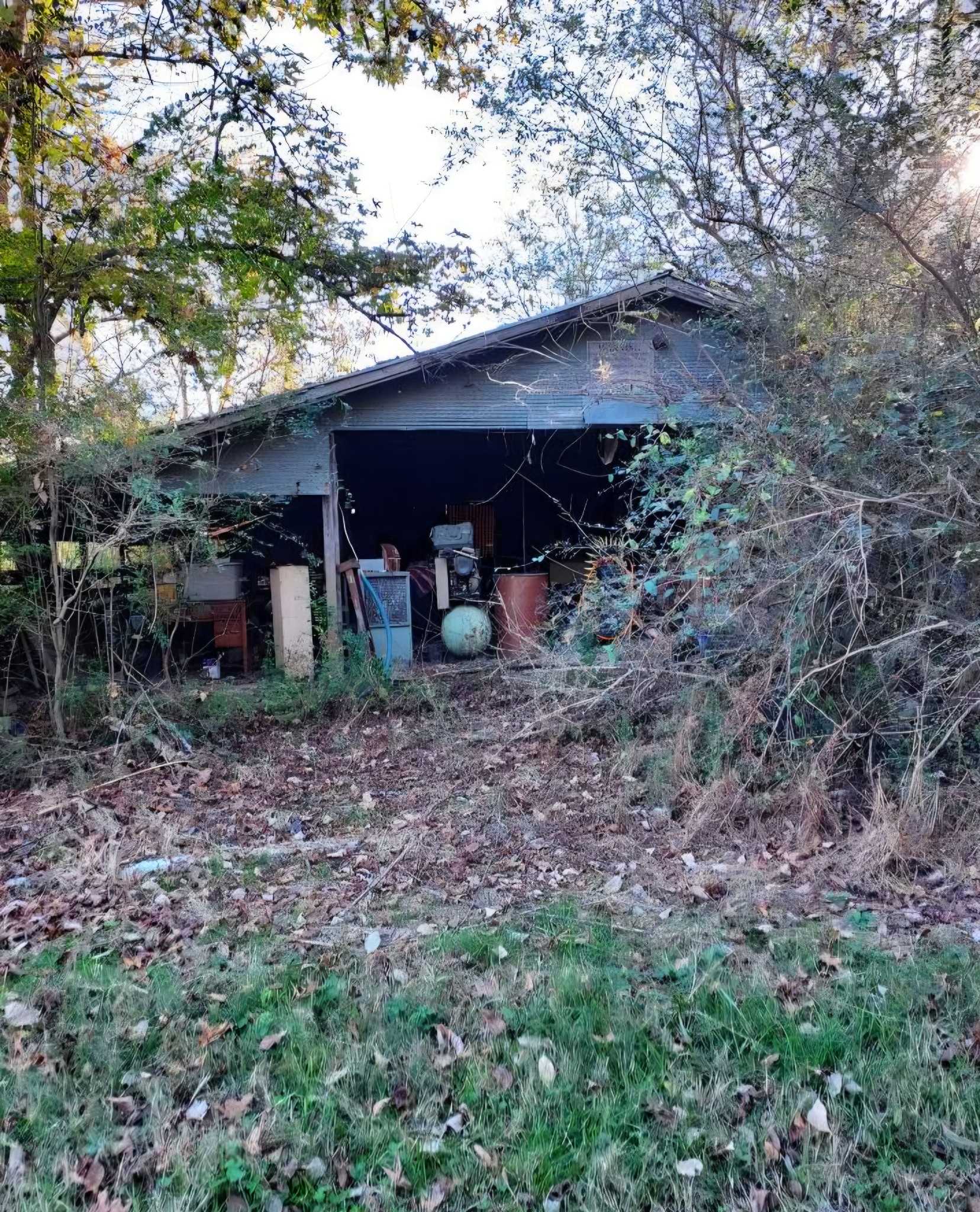 395 Good Hope Road Leoma, TN 38468 - Photo 10 of 21 a view of a barn with a tree