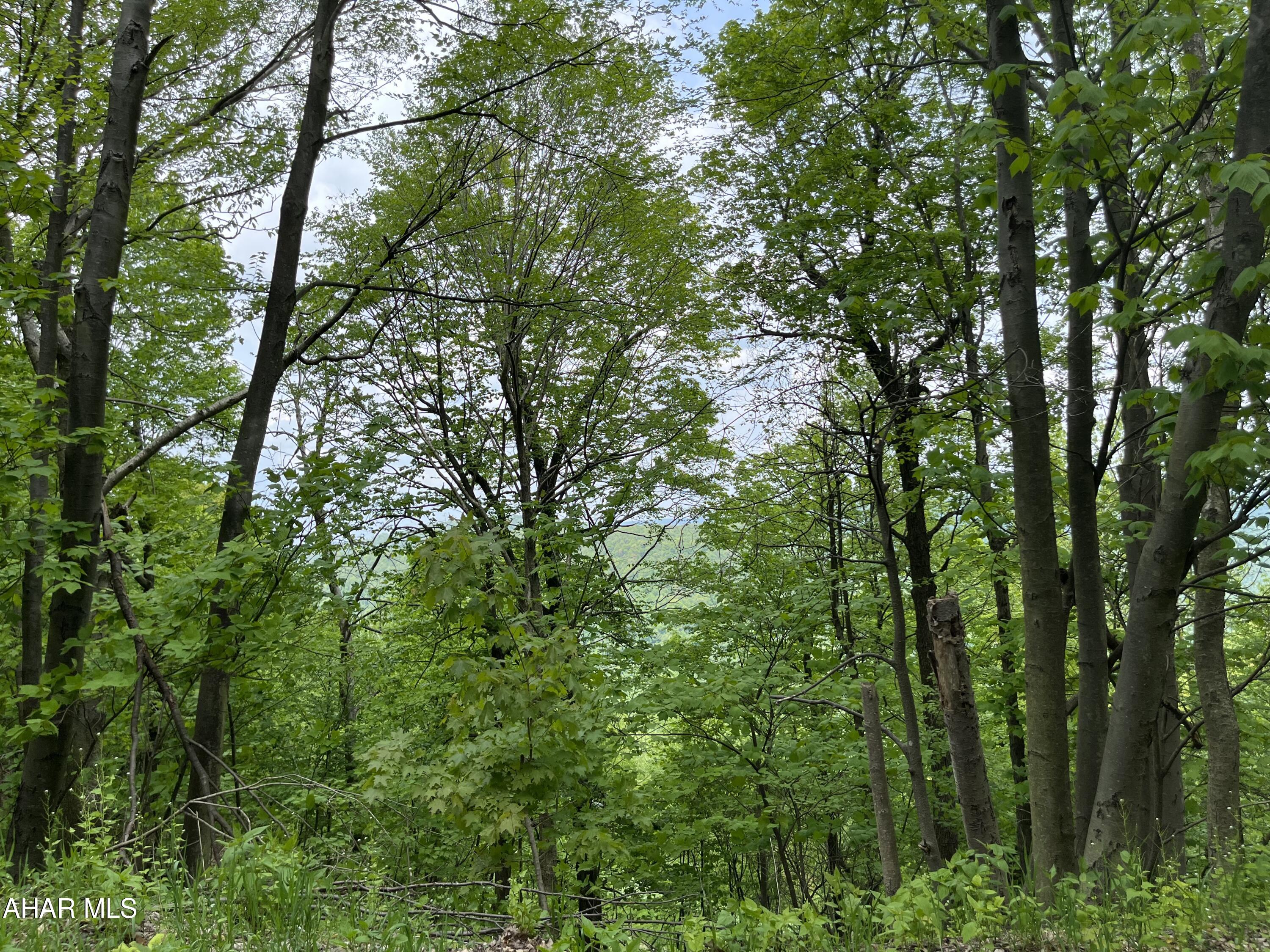 0 Ridge Run Road Claysburg, PA 16625 - Photo 7 of 24
